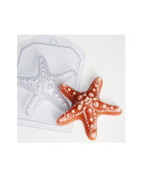 Пластиковая форма для шоколада Морская звезда